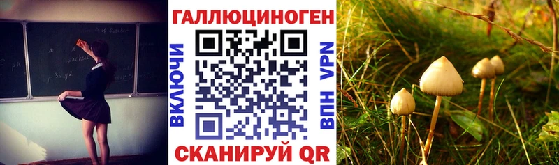 Псилоцибиновые грибы Psilocybine cubensis Отрадная